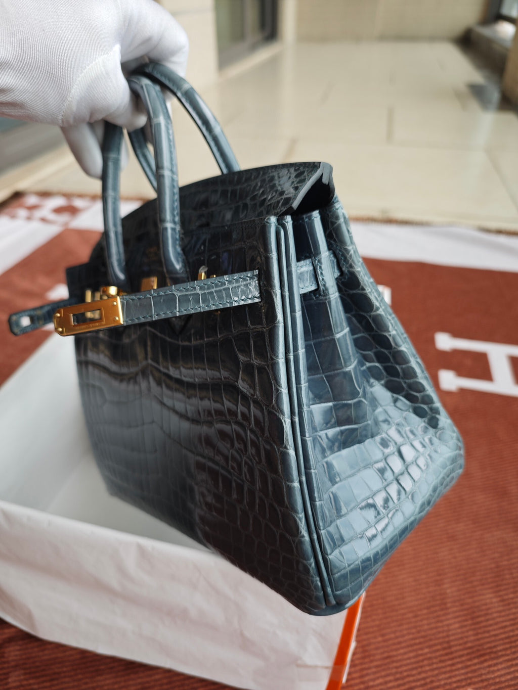Hello BIRKIN 25 CROC