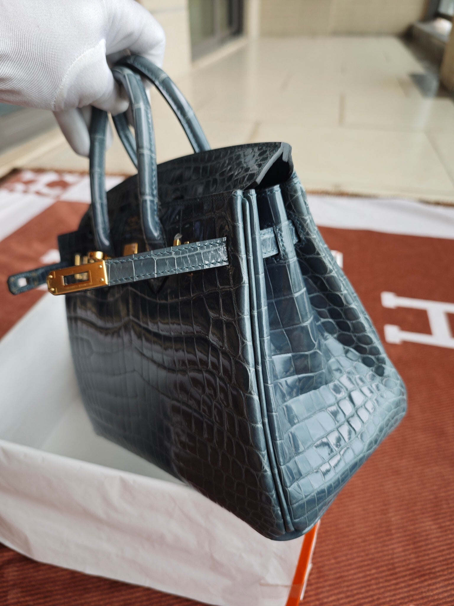 Hello BIRKIN 25 CROC