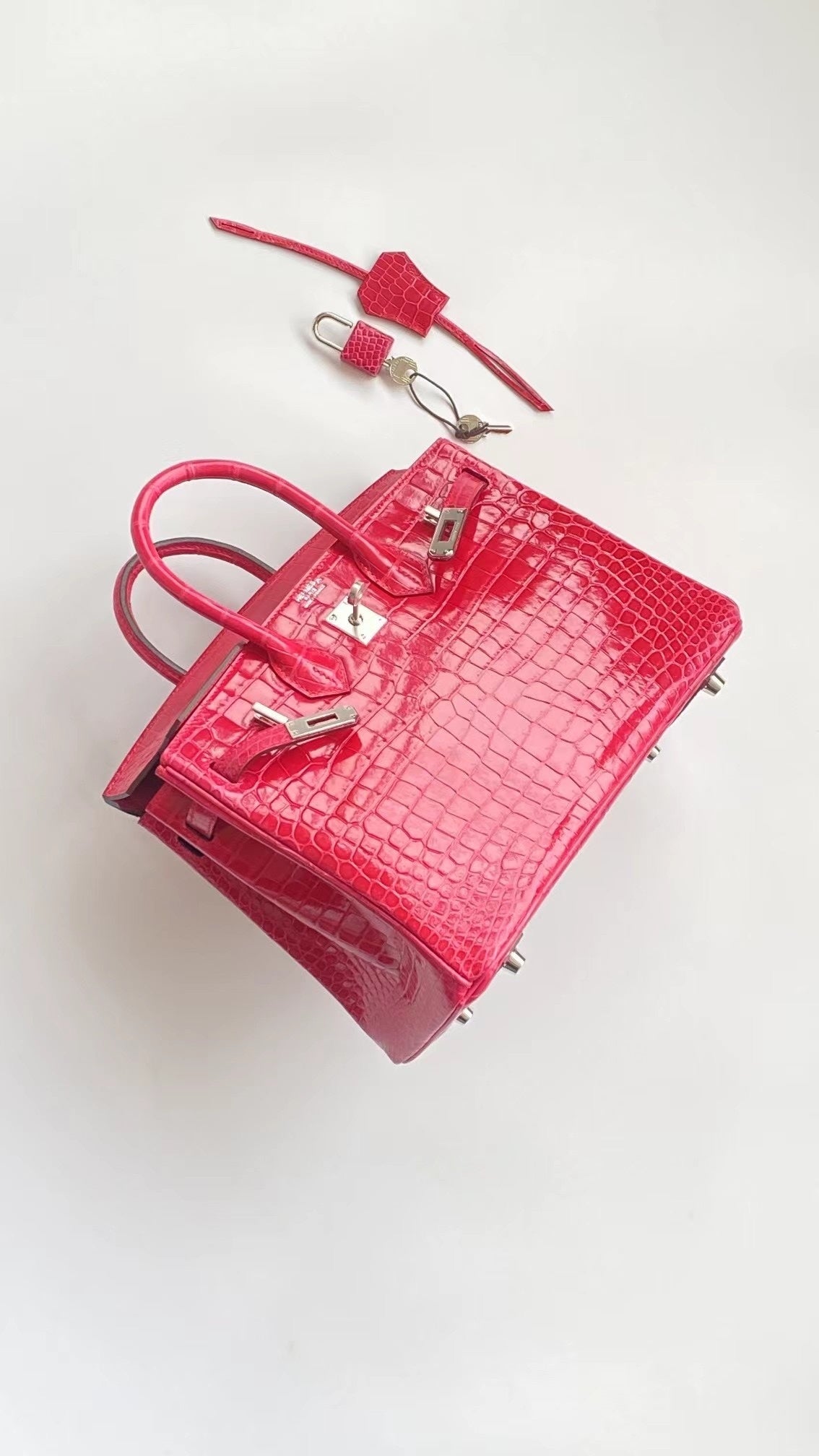 Hello BIRKIN 25 CROC