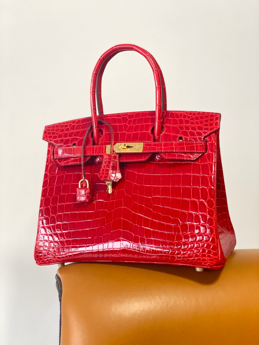 Hello BIRKIN 25 CROC
