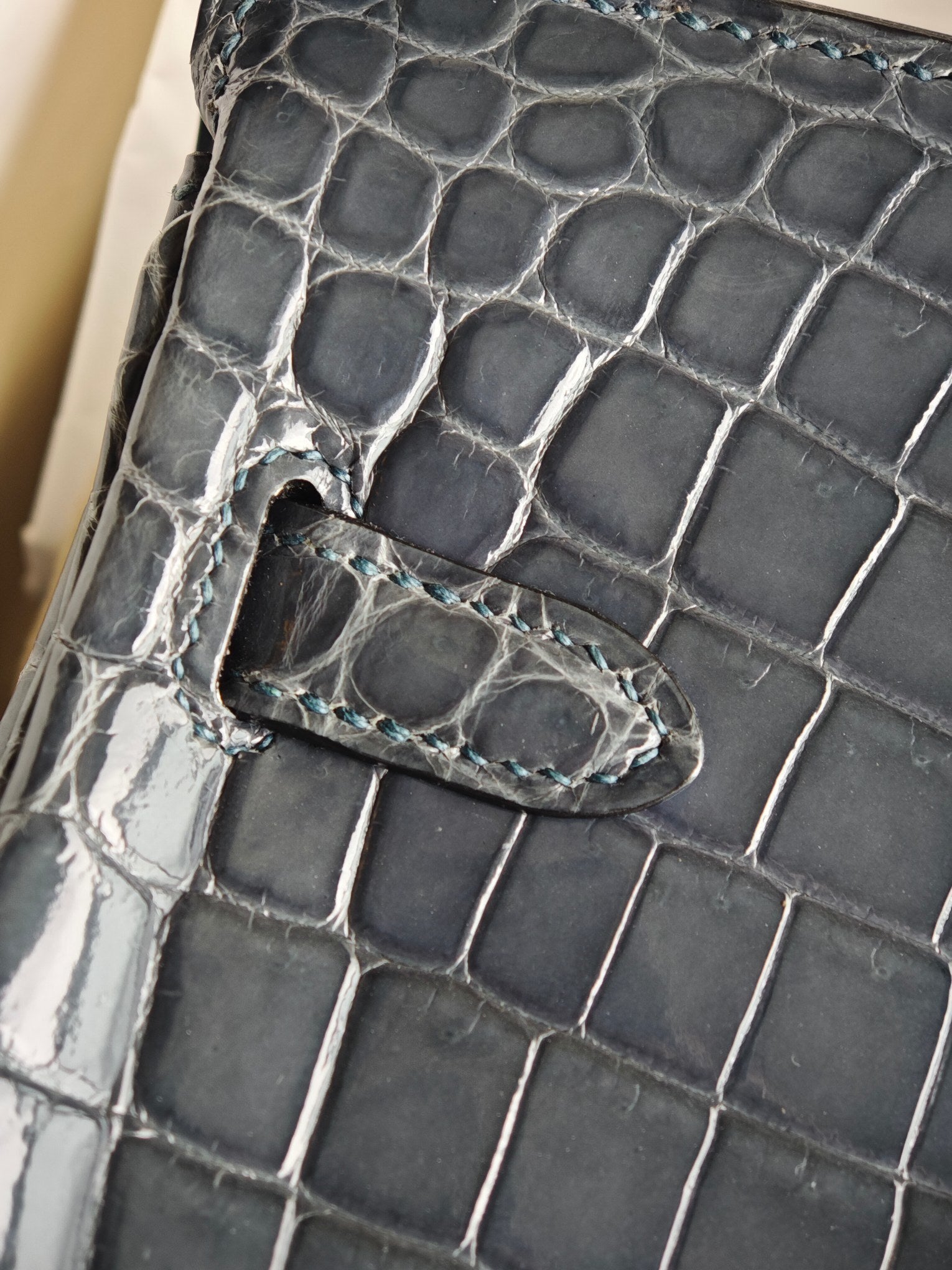 Hello BIRKIN 25 CROC