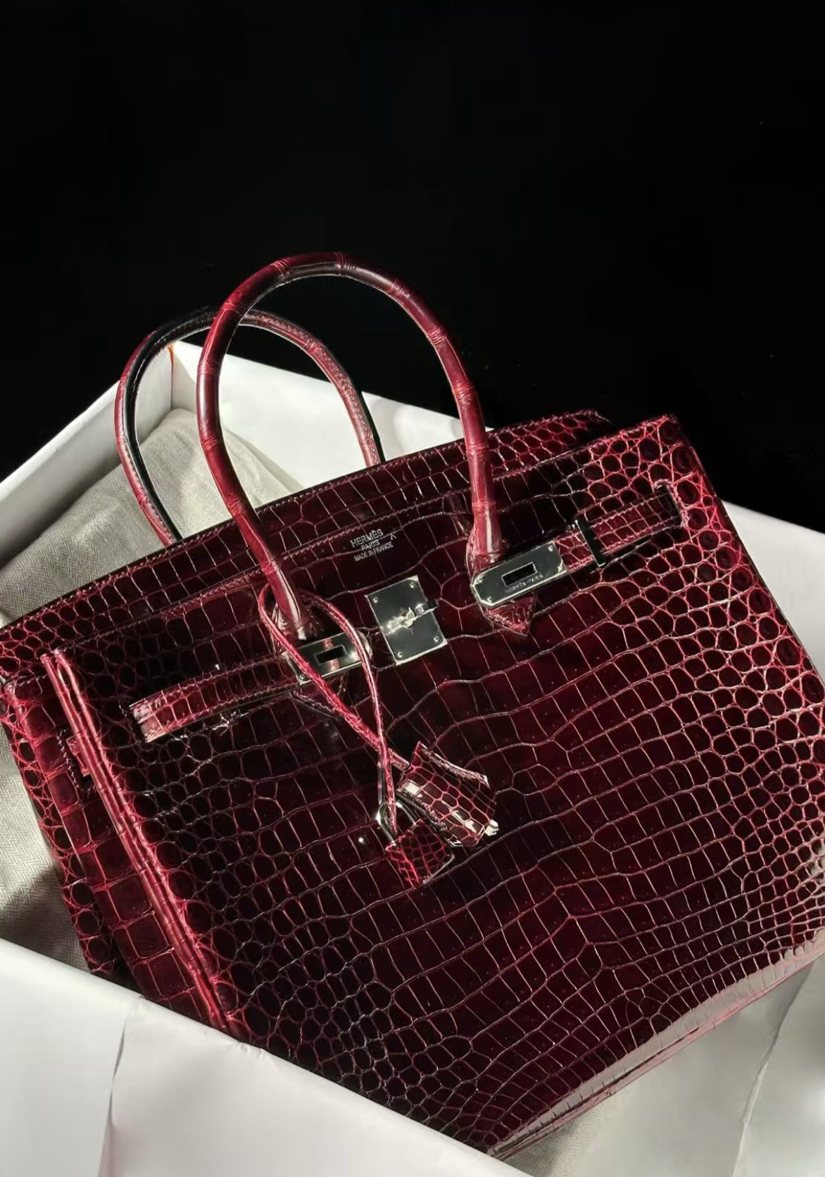 Hello BIRKIN 25 CROC