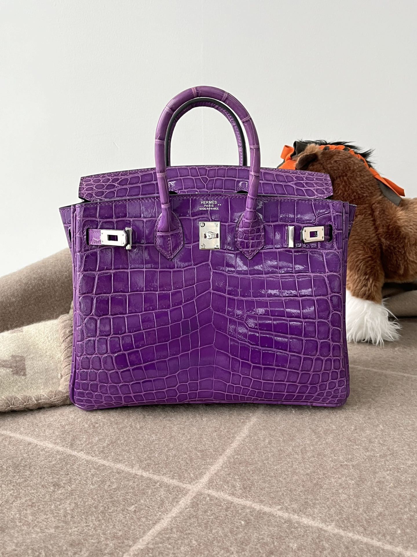 Hello BIRKIN 25 CROC