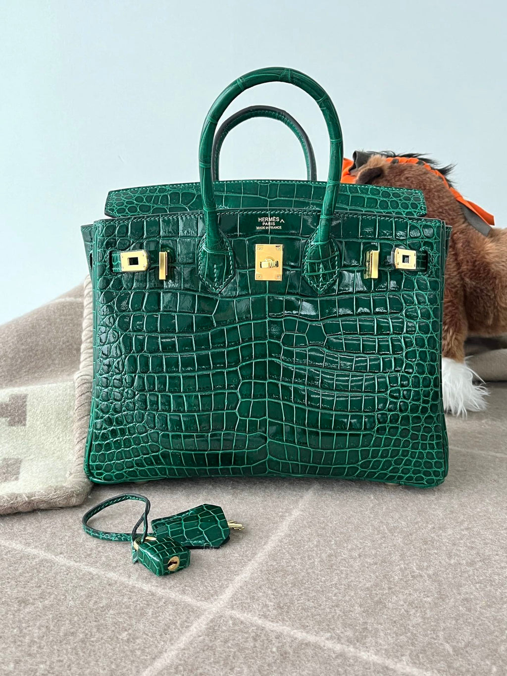 Hello BIRKIN 25 CROC