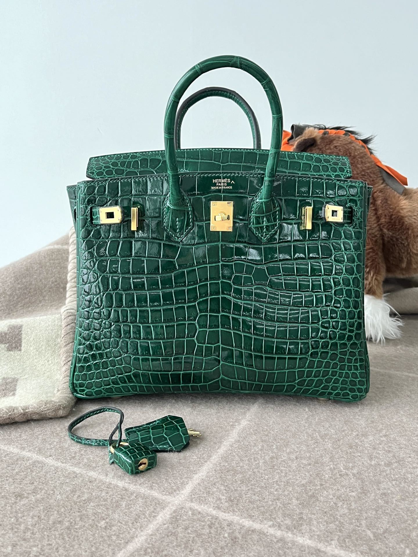 Hello BIRKIN 25 CROC