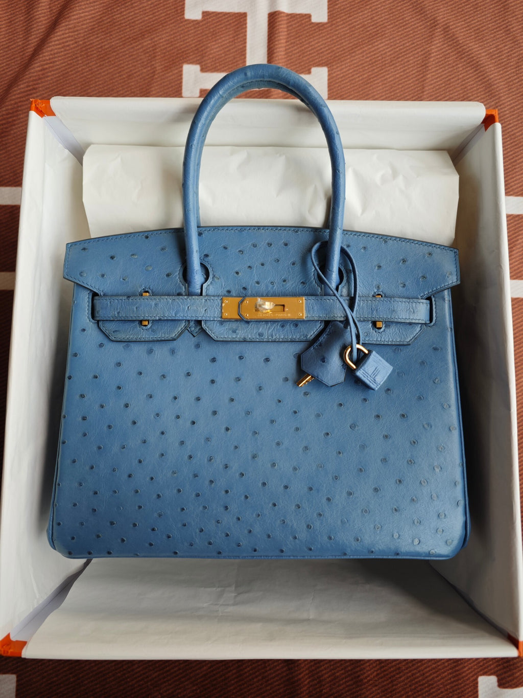 H BIRKIN 30 OSTRICH