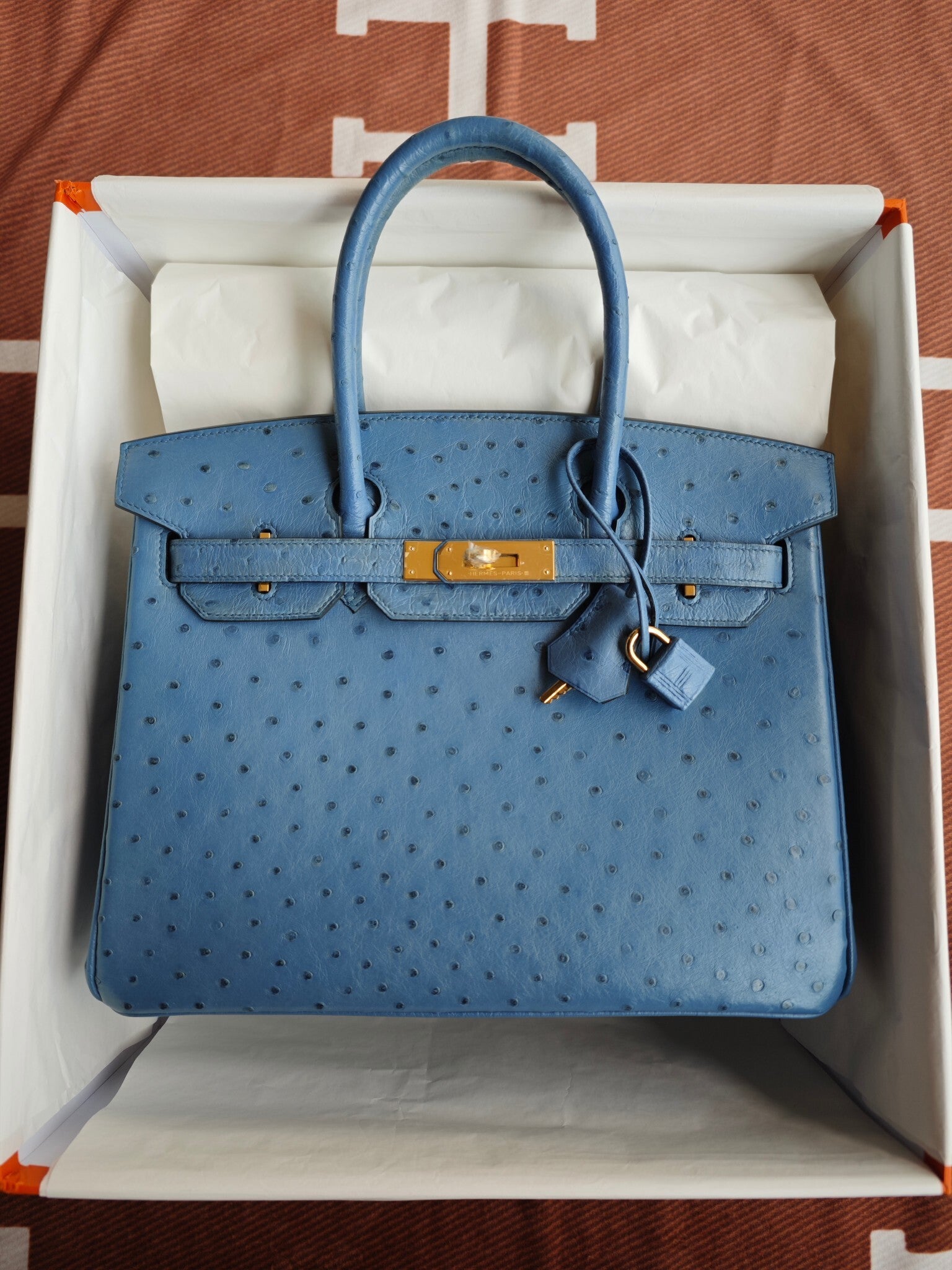 H BIRKIN 30 OSTRICH