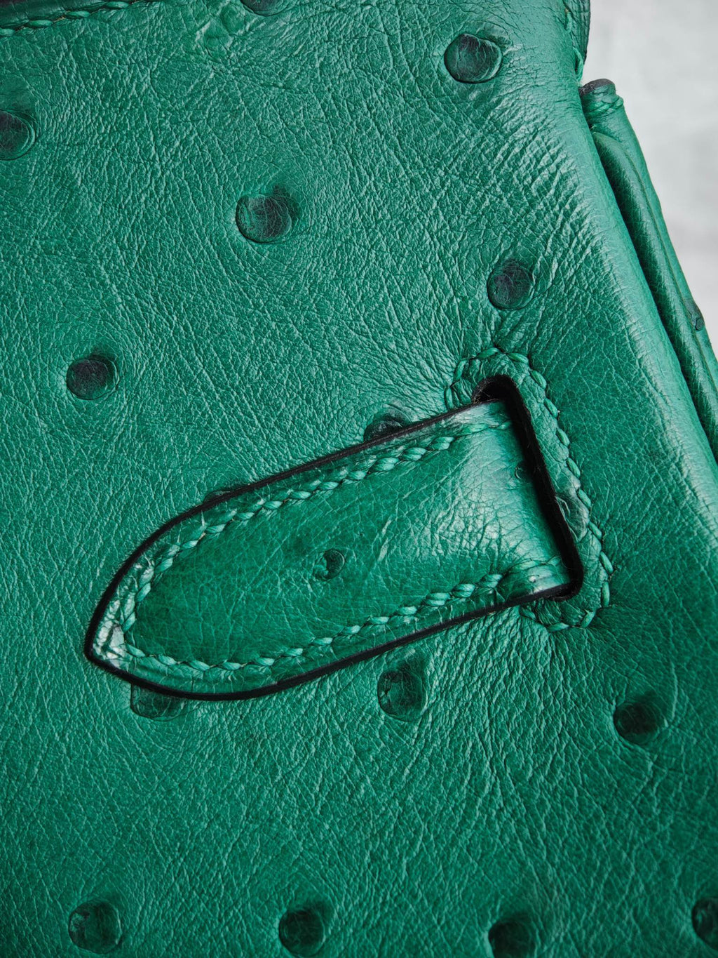 H BIRKIN 30 OSTRICH