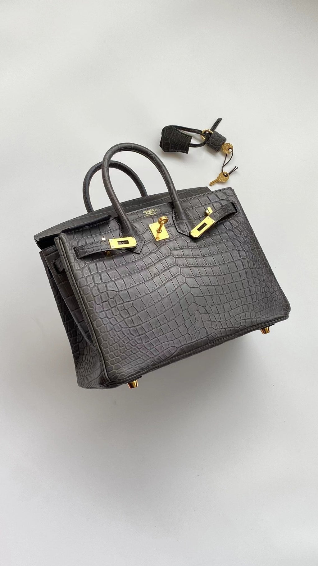 Hello BIRKIN 25 CROC