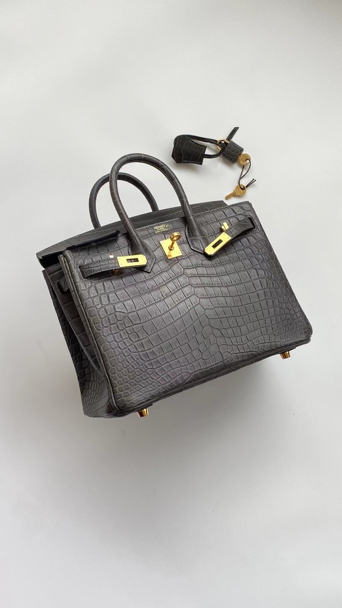 Hello BIRKIN 25 CROC