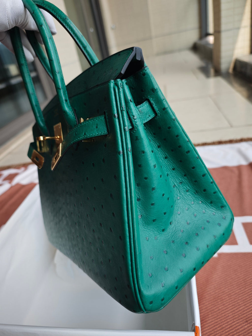 H BIRKIN 30 OSTRICH