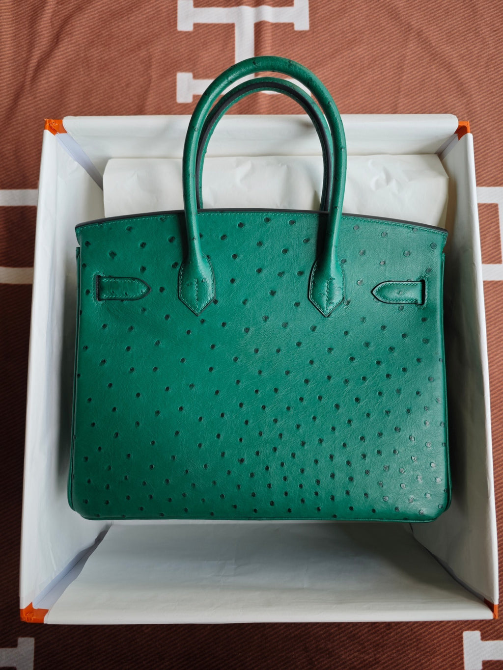 H BIRKIN 30 OSTRICH