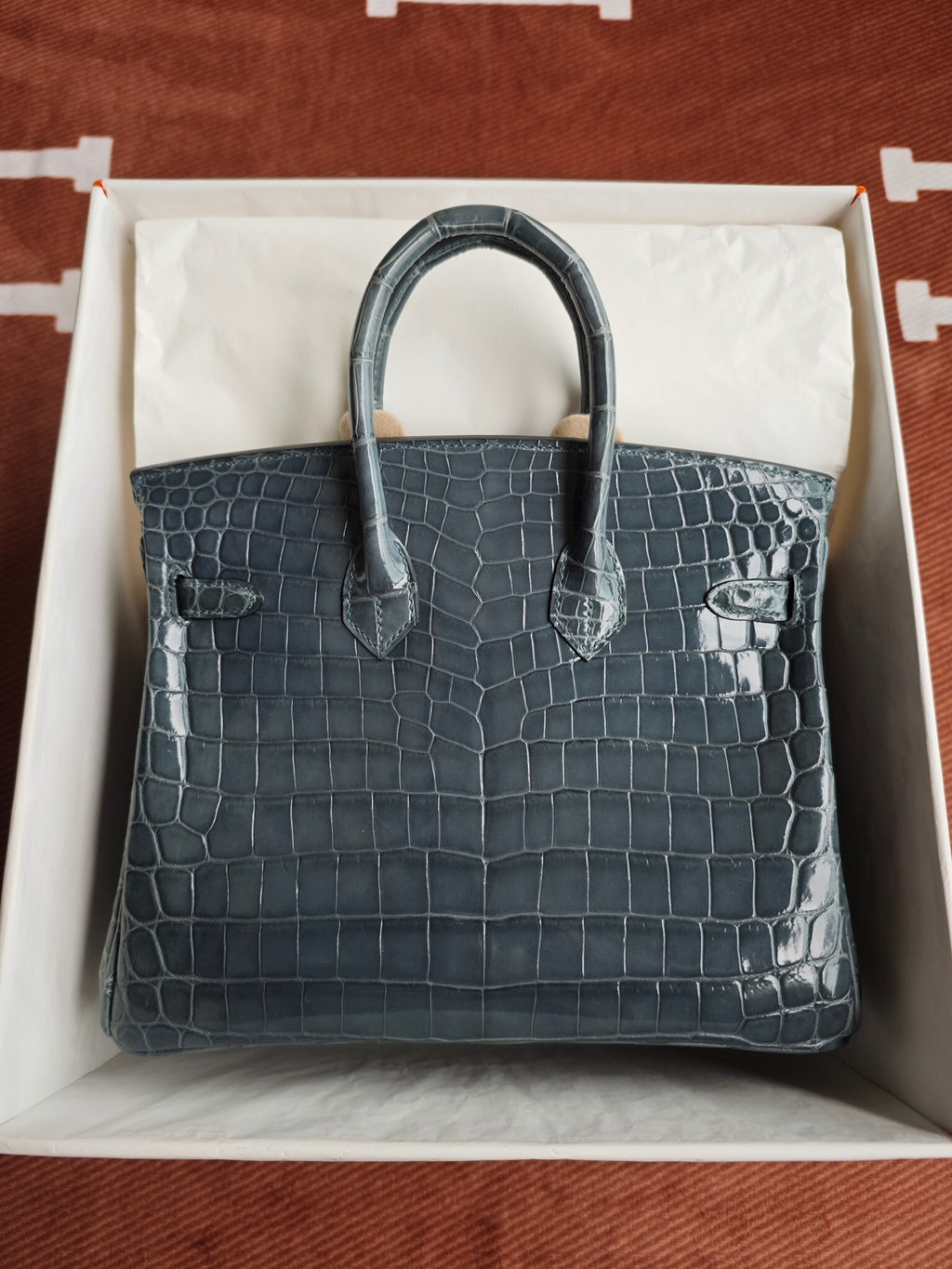 Hello BIRKIN 25 CROC