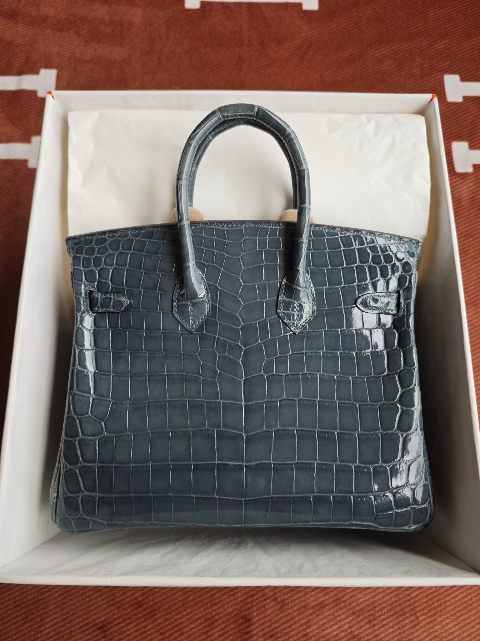 Hello BIRKIN 25 CROC