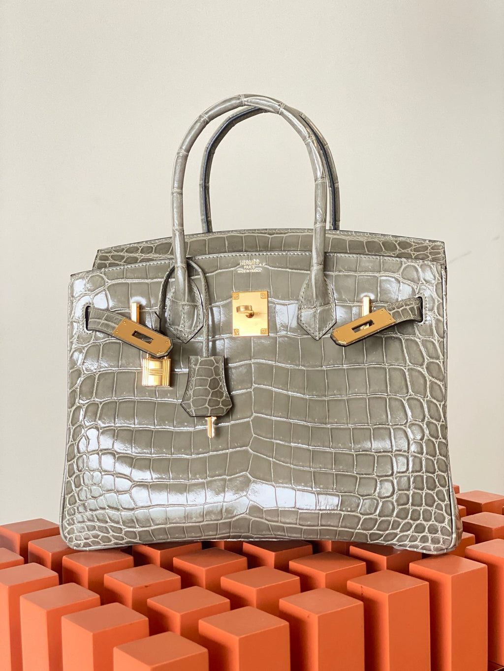 Hello BIRKIN 25 CROC