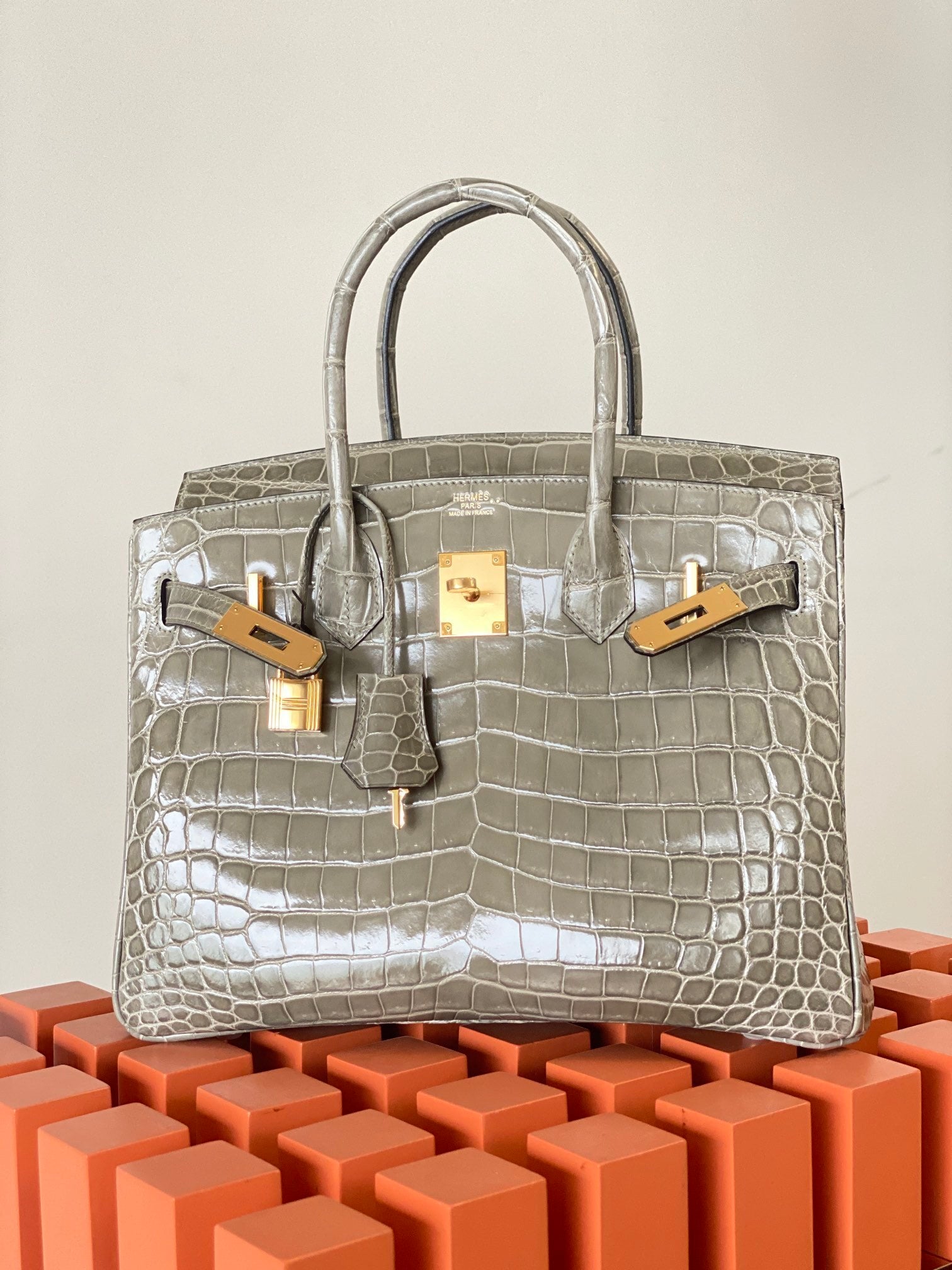 Hello BIRKIN 25 CROC