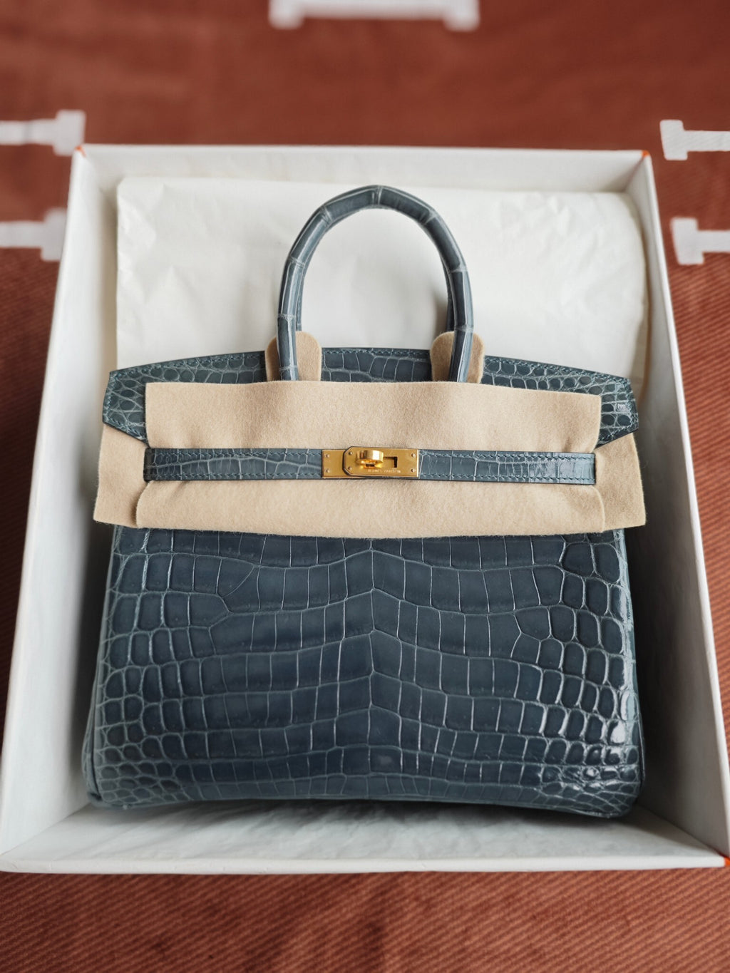 Hello BIRKIN 25 CROC