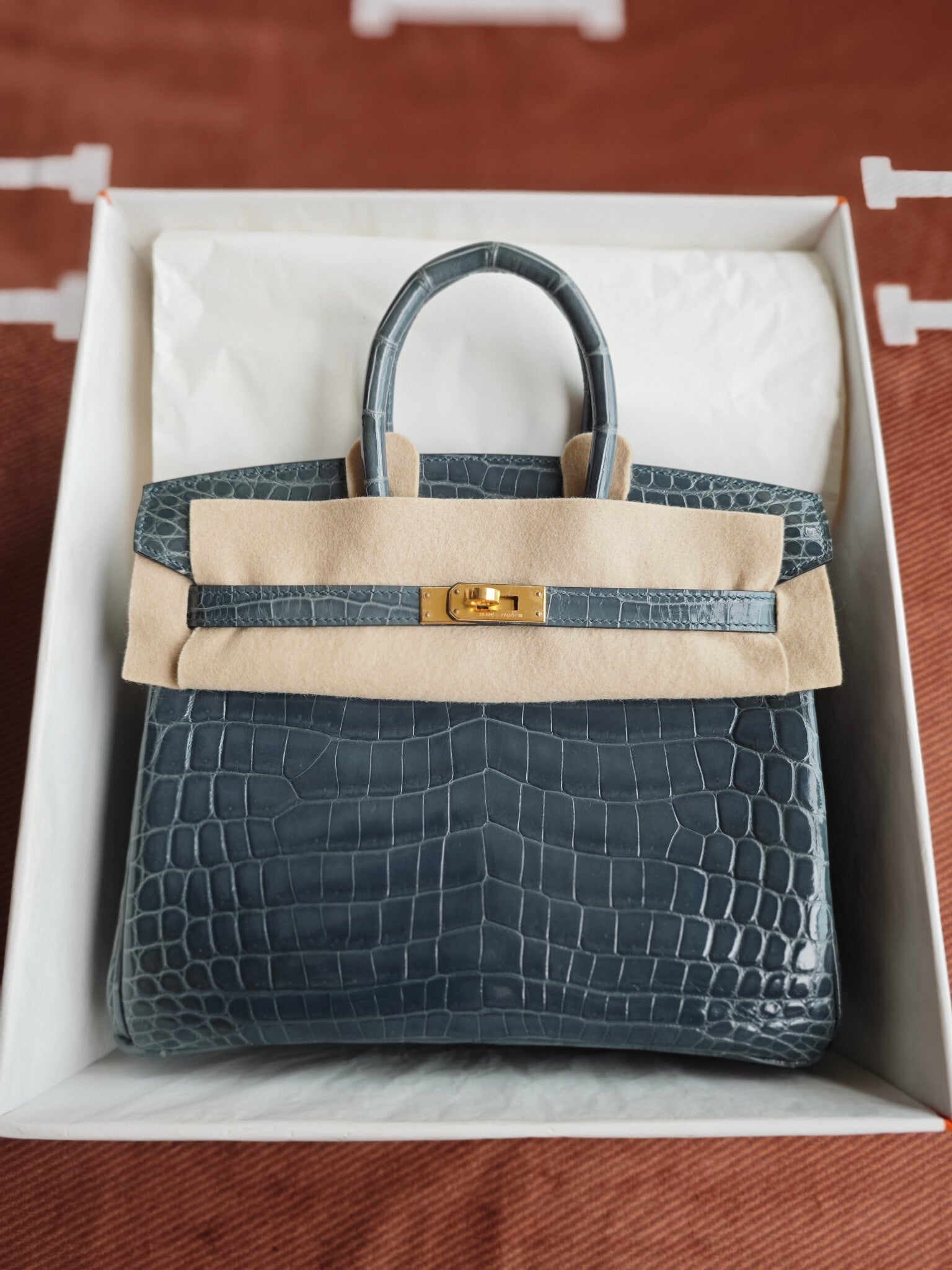 Hello BIRKIN 25 CROC