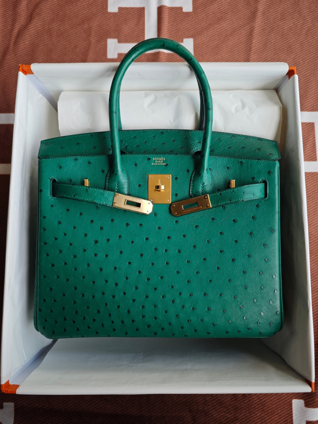 H BIRKIN 30 OSTRICH