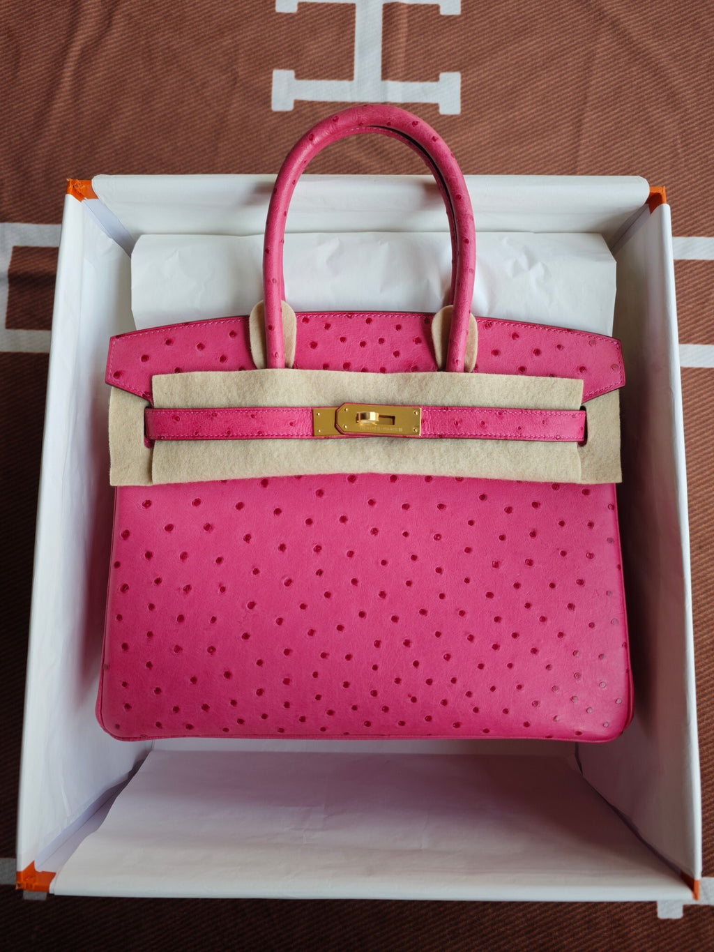 H BIRKIN 30 OSTRICH